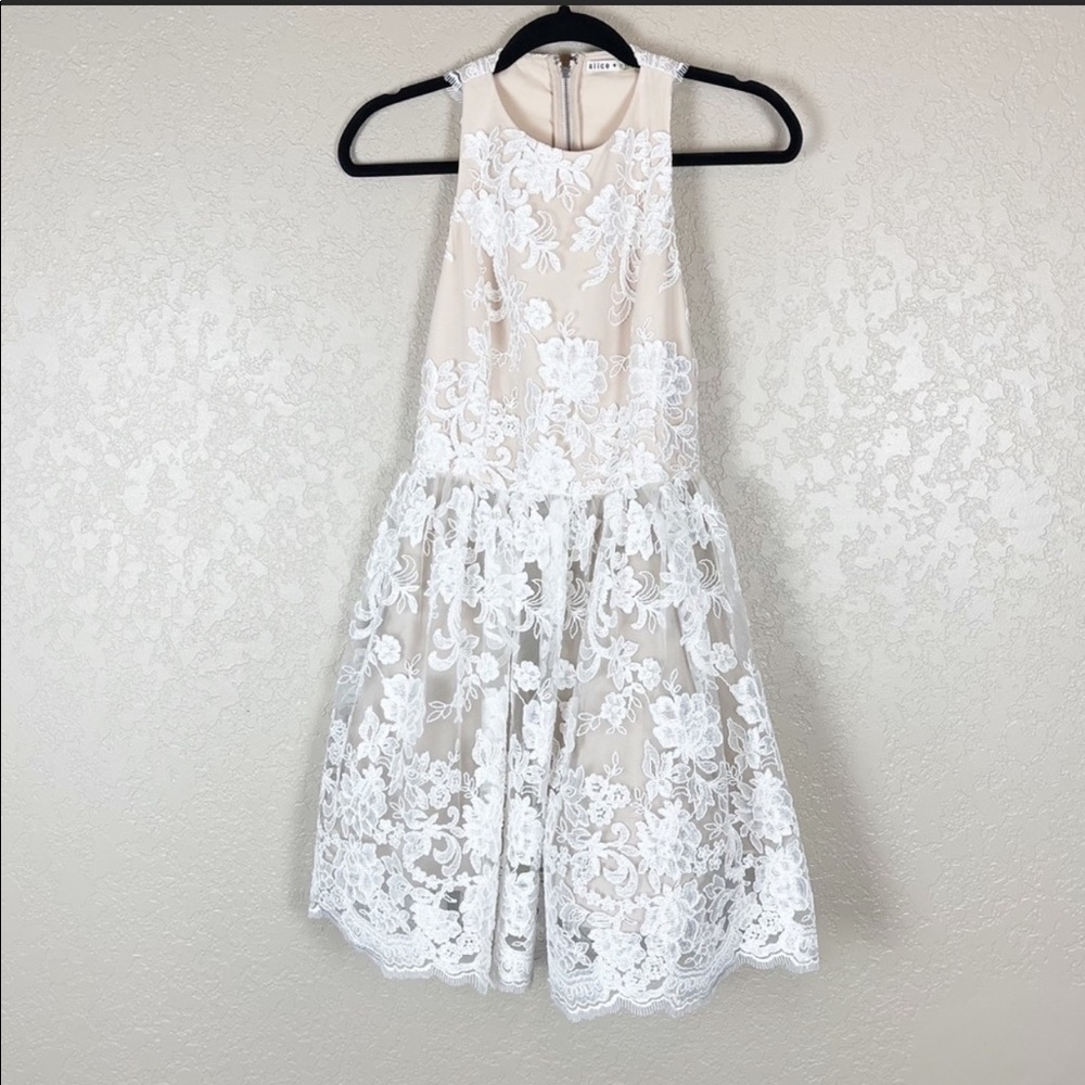 Alice + Olivia Ladonna cream lace mini dress